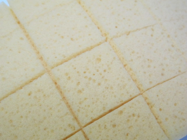 Replacement 6" x 12" Sponge