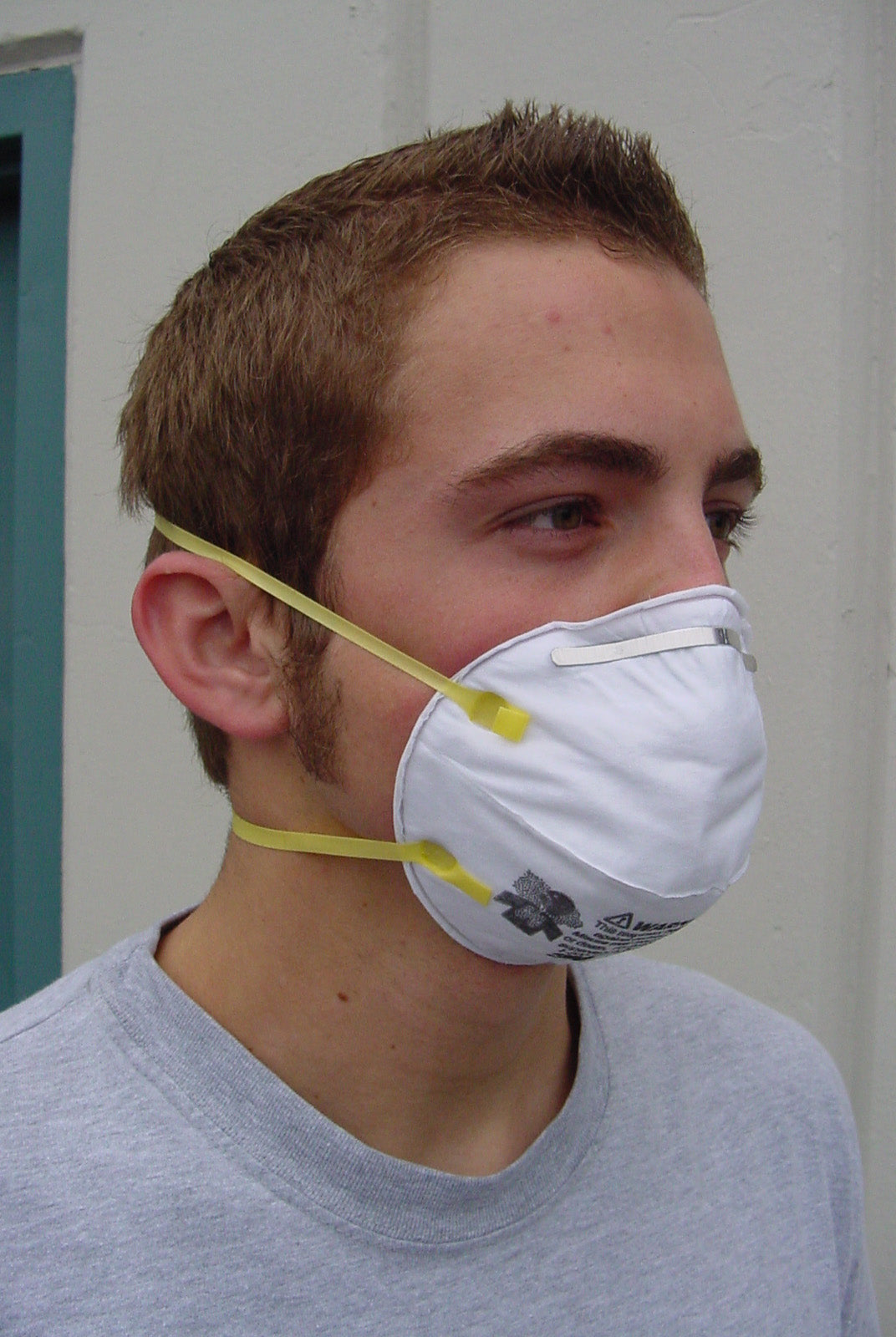 3M Disposable Dust Mask (20/Case)